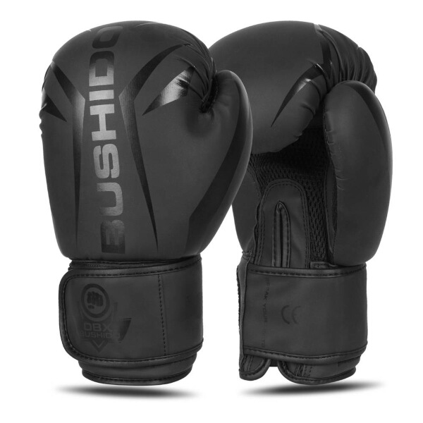 Boxerské rukavice DBX BUSHIDO B-2v22 16oz