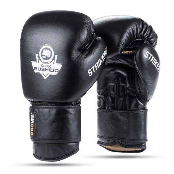 Boxerské rukavice DBX BUSHIDO Striker 10oz.