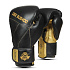 Boxerské rukavice DBX BUSHIDO B-2v14