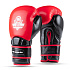 Boxerské rukavice DBX BUSHIDO Warrior RED