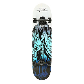 Skateboard NILS Extreme CR3108 Mountain