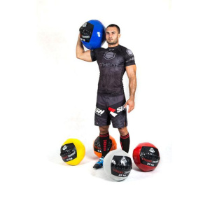 Wall ball DBX BUSHIDO 5 Kg Wall ball DBX BUSHIDO 5 Kg