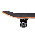 Skateboard NILS Extreme CR3108SA Space Star