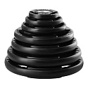Olympijský pogumovaný kotouč HMS TOK Pro