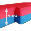 Tatami DBX BUSHIDO 100 x 100 x 4 cm červeno-modrá
