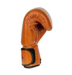 Boxerské rukavice DBX BUSHIDO DBD-B-1