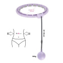 Masážní hula hoop HMS HHW09 se závažím a počítadlem fialová