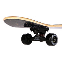 Skateboard NILS Extreme CR3108SA Space Star