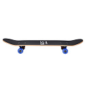 Skateboard NILS Extreme CR3108 SA Dreamer
